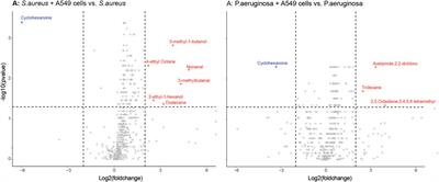 Influence of bacterial and alveolar cell co-culture on microbial VOC production using HS-GC/MS